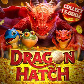 Dragon Hatch